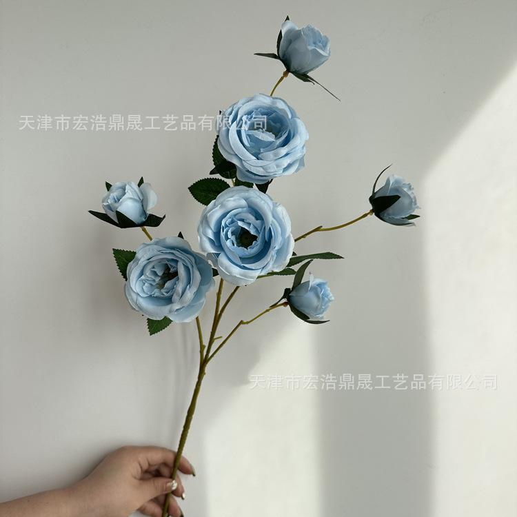 微信图片_202303091822239_副本