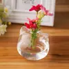 Vaso de Vidro para Gato Planta Hidropônica Pequeno Arranjo de Flores de Interior Decoração de Sala Decoração de Alto Padrão