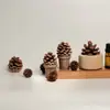 [En Stock y Enviado en Segundos Piñas de Pino Secas, Frutas Secas y Madera Maciza Aromaterapia sin Fuego Repelente de Mosquitos para Coche Dormitorio Escritorio Estudio
