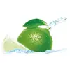 Jabón Transparente Diaopai 242g*2 Jabón para Ropa de Lima Protección Laboral Beneficios Caja Grande Jabón Paquete Familiar Ropa