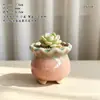Vaso de Flor Carnuda Cerâmica Jardinagem Cerâmica Mini Novo Criativo Grés Casa Vintage Novo Vaso de Porcelana Vaso