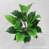 Nuevos Productos en el Mercado Material para Pared de Plantas de Hoja de Roble Hojas de Simulación Hoja de Magnolia Ingeniería Verde Paisaje Decorativo Plantas de Hoja Grande