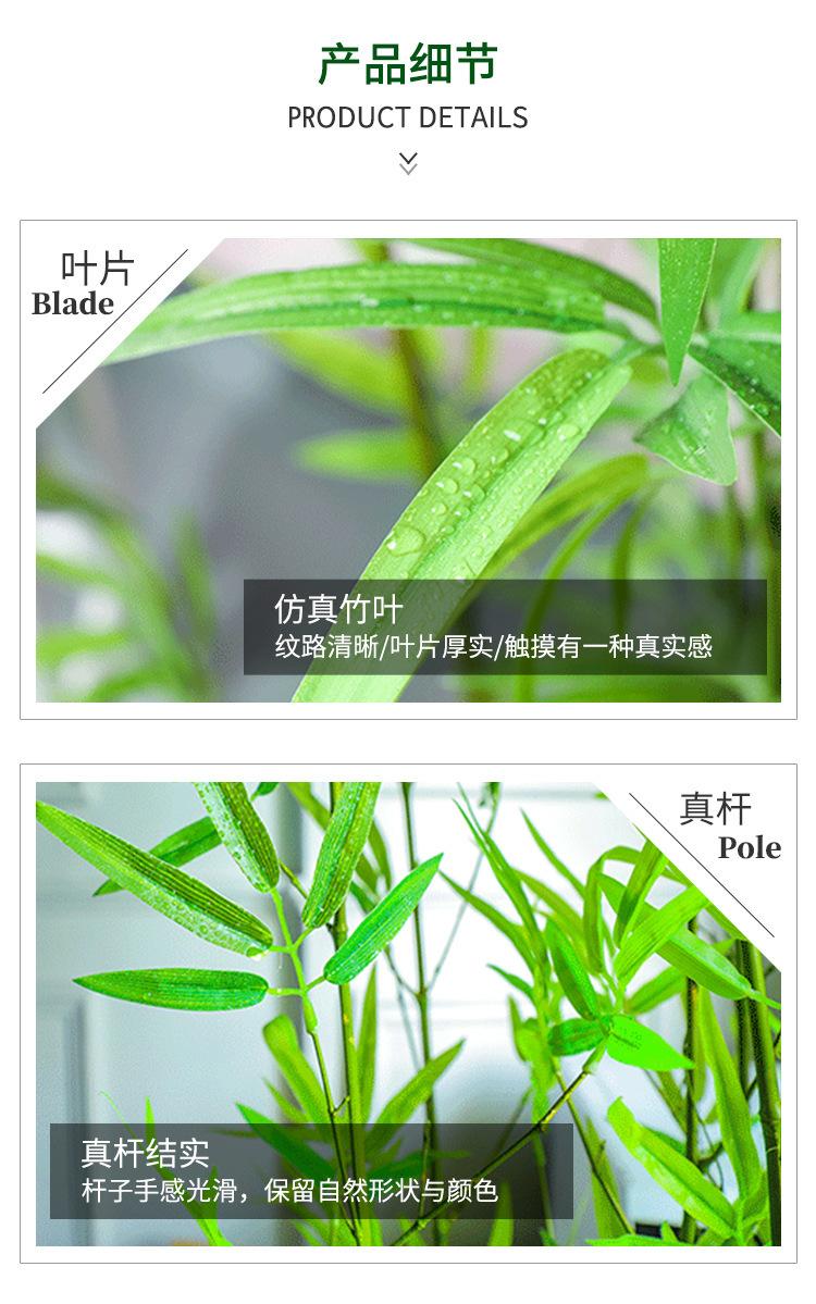 详情页_05.jpg