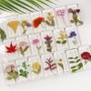 Ornamentos Populares de Resina com Flores Naturais, Lembranças Criativas Culturais e Criativas, Artesanato em Resina, Pequenos Presentes, Suportes de Livro Folha de Ginkgo Rosa
