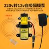 Mini Pequeña Pequeña Micro Bomba de Agua de Diafragma CC 12V24V Pulverizador Eléctrico Bomba de Agua de Alta Presión Bomba Autocebante