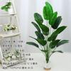 Juego de mesa de estilo nórdico con plantas en maceta, venta al por mayor, decoración de interiores, flores, adornos de plantas verdes, bonsái de suelo, simulación de bonsái verde.