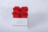 Cubo de abrazo cuadrado de flores eternas transfronterizas con 4 rosas Qixi, caja de regalo de flores eternas para Navidad y San Valentín, fábrica al por mayor