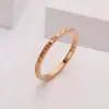 Anel Completo de Diamante em Aço Titânio para Mulheres, Não Desbota, Fashion, Luxo Leve, Estilo Popular de Celebridade da Internet, Anel Fino Simples, Anel de Dedo