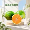 Hubei Yichang Mandarinas Miel Dropshipping 3/5/9 Jin Piel Verde Ácido-Dulces Jugosas Mandarinas Miel Cítricos Fruta Fresca de Temporada