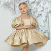 Vestido de Princesa con Mangas Abullonadas para Niñas Transfronterizo Vestido para Dama de Honor Banquete de Bodas Fiesta de Cumpleaños Falda Tutú Atuendo para Presentación de Piano de Niñas