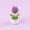 Planta de Tulipán Tejida a Crochet Producto Terminado Hecho a Mano Tejido Simulación Flor Pequeña Decoración para Escritorio de Oficina Adorno Venta al por Mayor