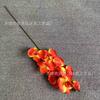 Simulación de 8 cabezas de Phalaenopsis, decoración para sala de bodas, venta al por mayor transfronteriza de Amazon, decoración suave europea para el hogar, flores de seda