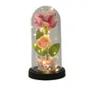 Artículo Popular Transfronterizo: Adorno Acrílico de Flor de Rosa Artificial, Regalo de San Valentín, Soporte de Exhibición de Luz Nocturna, Flor Eterna en Cúpula de Vidrio