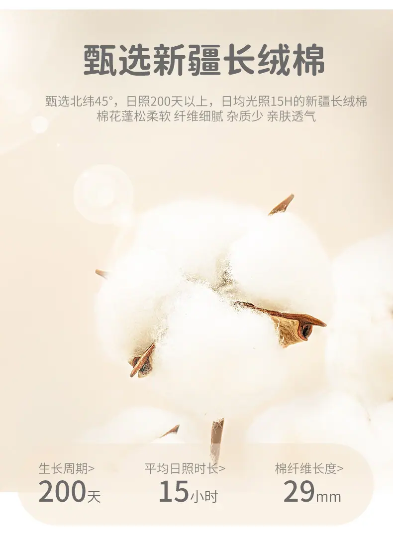棉花冬3