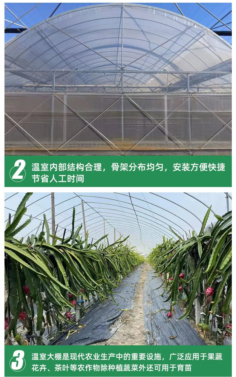 温室大棚_08.jpg