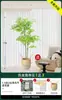 Ornatos Biônicos de Chão para Interior Sala de Estar Grande Plantio Verde Árvores Artificiais Flores Decorativas Flores Artificiais Plantas em Vasos Bambu Nantian