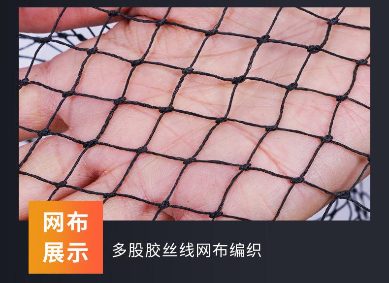 鱼护_10.jpg