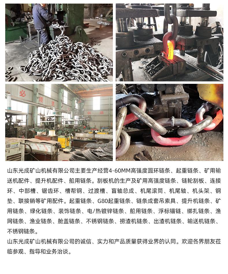 光成首版起重链条2023_13.jpg
