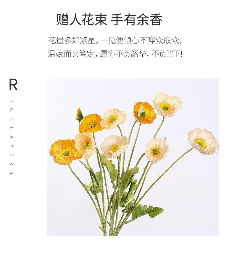 详情_12