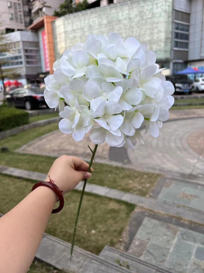 微信图片_20240228145950.png