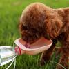 Mascotas Gatos y Perros Acompañan Taza de Agua Salir a Beber Agua Alimentar Agua Artefacto para Beber Teddy Botella de Agua Portátil Hervidor Suministros para Exteriores