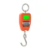 Balanza Electrónica de Grúa de Alta Precisión 200 kg de Venta Caliente Transfronteriza Portátil para el Hogar Bolso Digital Balanza Colgante Balanza de Grúa Industrial