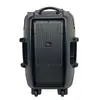 Alto-falante Sem Fio de 15 polegadas 30W Mais Vendido Reprodução Bluetooth com Microfone com Fio Subwoofer Personalização OEM