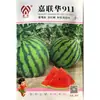 Huichuang Jialianhua 911 Sementes de Melancia Crocante Precoce de Casca Dura Kirin Meidu Sementes de Melancia Fruta de Campo