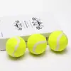 Juguete para Mascotas Pelota de Tenis Perro Molar Rebote Elástico Pelota de Entrenamiento para Exteriores Juguete Interactivo Cachorro Aliviar el Aburrimiento