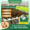 Tubo de Plantio Hidropônico de PVC Estufa Tubo de Cultivo Sem Solo Plantio de Plástico Criativo Varanda Jardim de Infância Tubo Quadrado 100X50