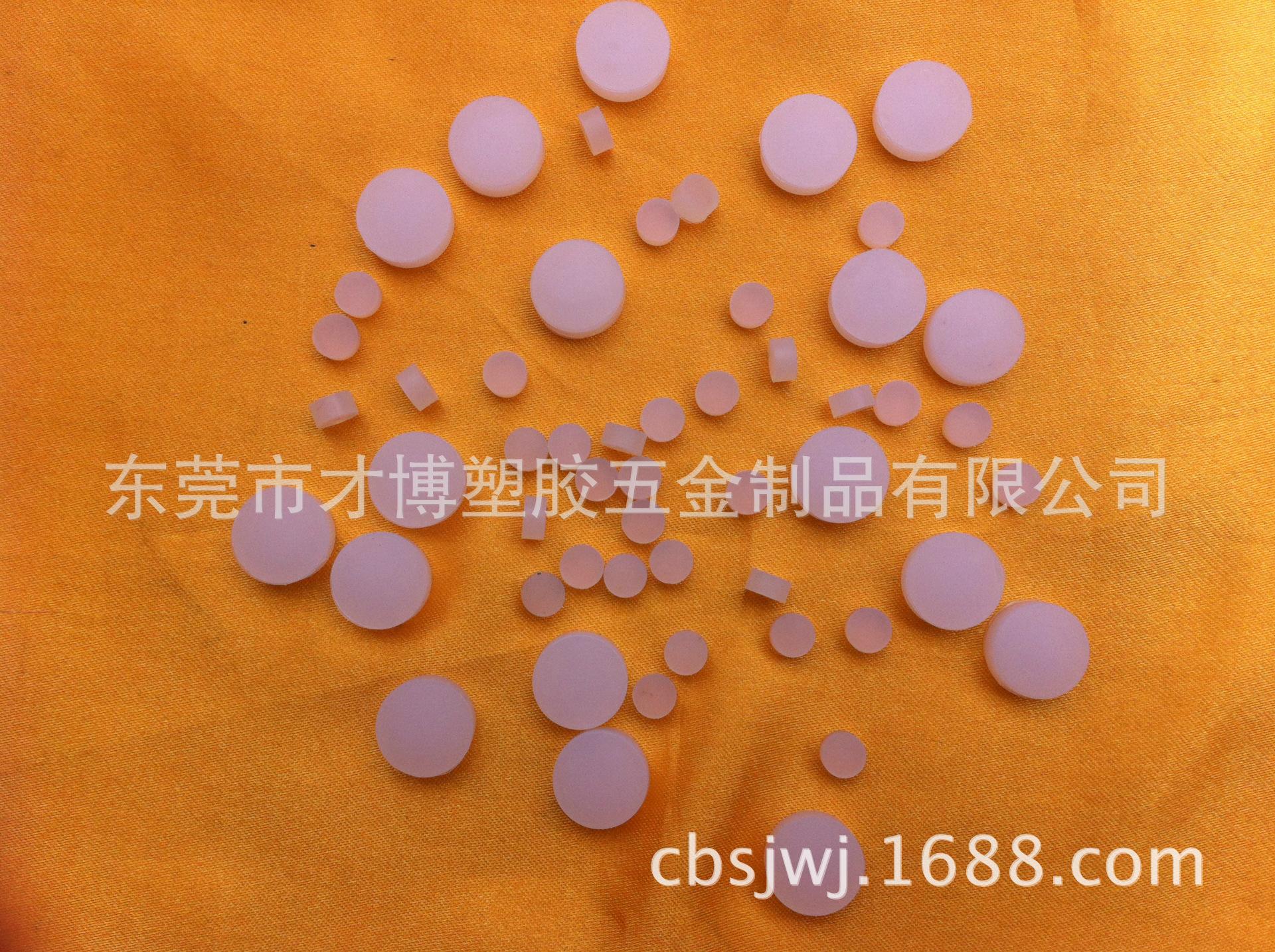 照片 4868