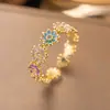 Anillo de Zirconia Micropavimentada Nuevo Transfronterizo Celebridad de Internet para Mujer, Anillo de Dedo Índice de Lujo Ligero de Moda de Gama Alta para Mujer con Apertura Ajustable