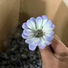 Série Azul Flores Artificiais Materiais DIY Grampo de Cabelo Adorno de Cabeça Flores Artificiais Arranjo de Cena Aparência Realista de Alta Qualidade