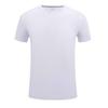 SGBL/TS 771# camiseta de seda gelada gola careca manga curta cor sólida grupo curinga roupas macacões roupas de classe impressão de logotipo