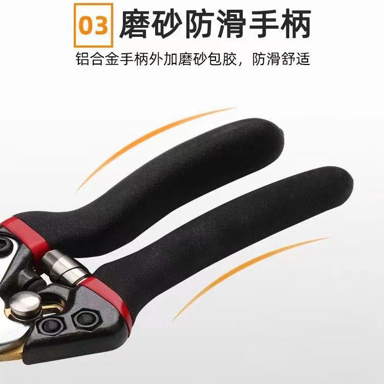 详情-03.jpg