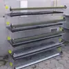 Jaula para Codornices Automática Ponedora de Huevos para Uso Doméstico, Jaula Vertical de Seis Niveles para Pavos de Guinea con Bebedero de Madera