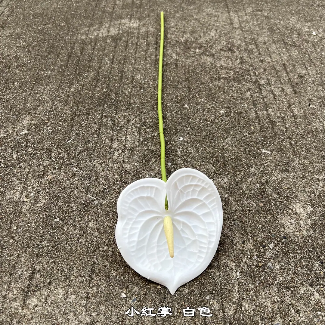 微信图片_20220806133423.jpg