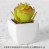 Suculentas Simuladas Personalizadas Cerámica Bonsái Plantas Verdes Escandinavas Adornos Hogar Interior Sala de Estar Flores Falsas Suculentas Plantas en Maceta