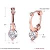 Moda de escena K pendientes de diamante de oro pendientes redondos de oro rosa mayorista de joyería AKE159