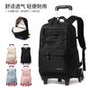 Mochila escolar con ruedas Natural Fish Cross-border, nueva, para estudiantes de primaria, hombres y mujeres, de 2.º a 6.º grado, mochila desmontable de gran capacidad.
