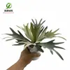 Simulación planta suculenta súper grande tamaño pequeño suculenta bonsái planta verde flor de plástico en maceta micro paisaje con pared vegetal