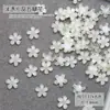 Al por mayor 8 mm Hielo Transparente Flor de Cinco Pétalos Joyería para Uñas Arte de Uñas Resina Estereoscópica Flor Colorida Accesorios para Uñas Decoración de Uñas Portátil