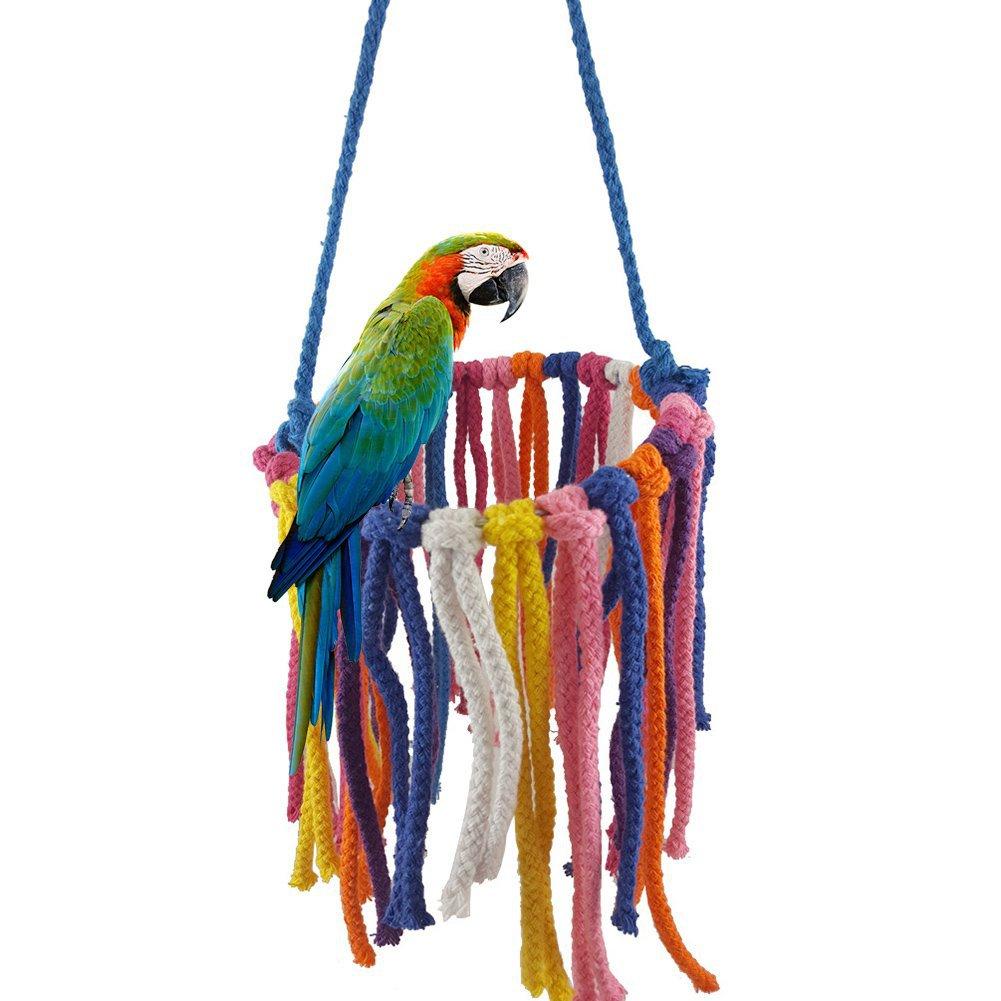 61aPGdqh2HL._SL1001_