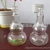 Garrafa de vinho de cabaça de vidro de 500 ml do fabricante