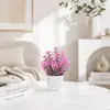 Set de Plantas Artificiales Rosas Nórdicas en Maceta Pequeña, Hermosos Artículos Decorativos para Sala de Estar, Dormitorio, Área de Oficina, Flores Falsas para Sesiones de Fotos