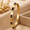 Pulseira de Aço Titânio Estilo Celebridade da Internet Europeia e Americana Pulseira Retangular com Diamante Verde Ouro 18K Toque de Luxo Leve Pulseira de Aço Inoxidável Feminina
