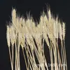 Plato Frío con Espiga de Trigo Dorado Borde Decorativo con Flores Decorativas Forma Creativa Adornos Pequeños para Cocina