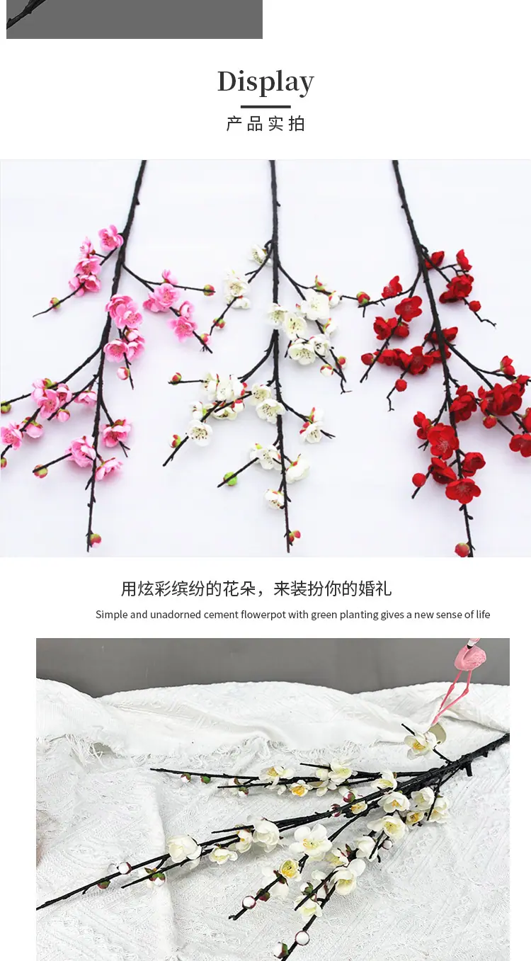 长枝寒梅_05.jpg
