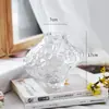 Celebridad de Internet Lujo Ligero Jarrón del Valle Vidrio Irregular Arreglo Floral Hidropónico Decoración de Gama Alta Mesa de Sala de Estar Decoración
