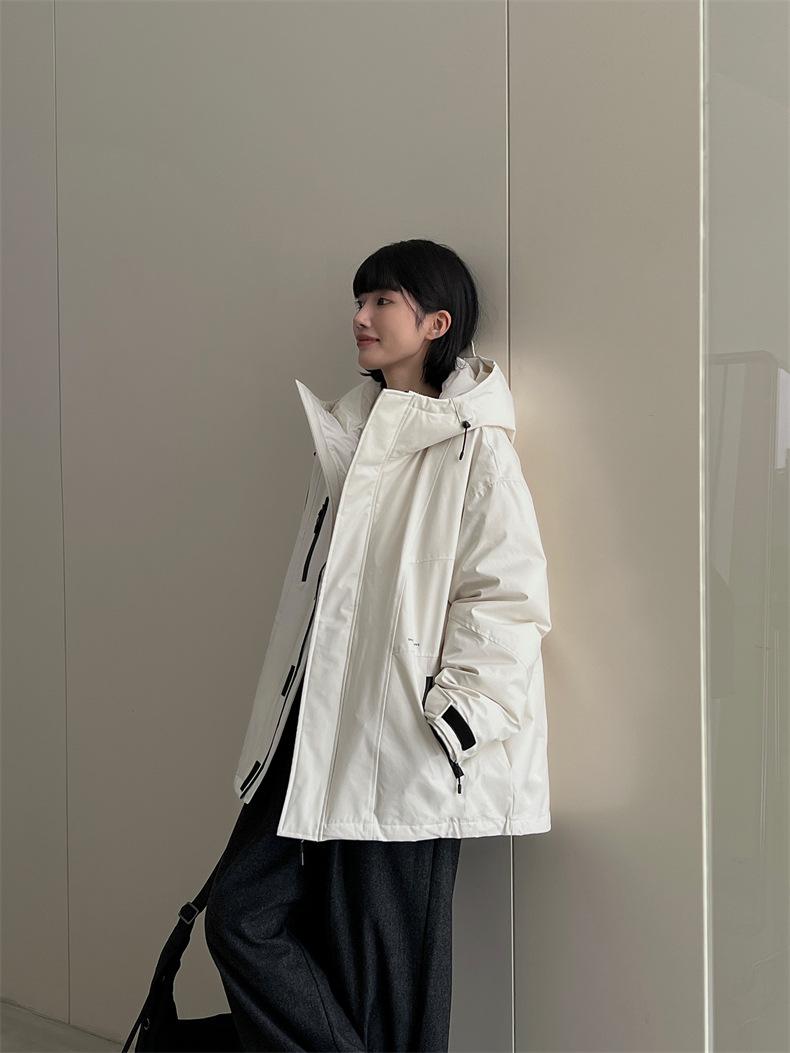 2024-11-27 182441.jpg